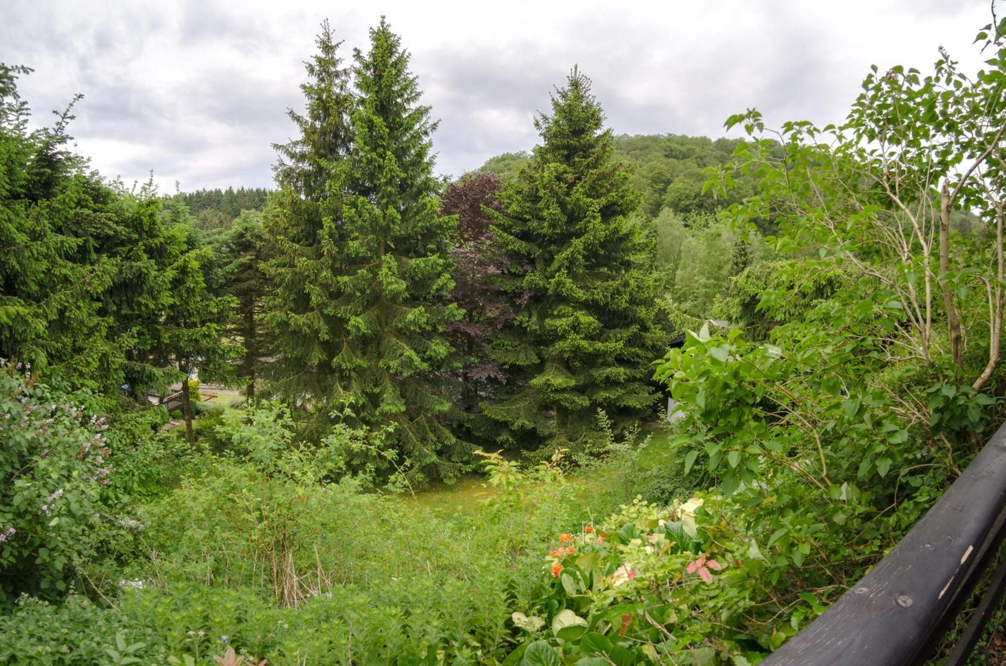 Schwedenhaus Uplandalm Willingen Villa Willingen  Exterior photo